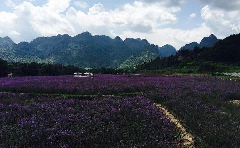 特色旅游?尋找最美中國