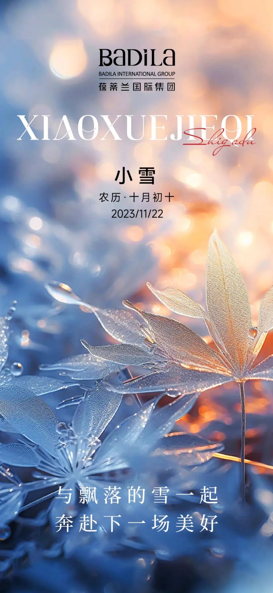 小雪 | 心怀光芒，无惧风雪