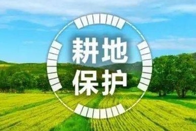 自然资源部部长：突破耕地保护红线，严肃问责、终身追责