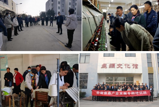 全省蚕桑产业发展专题培训班在日照成功举办 全省蚕桑产业发展专题培训班在日照成功举办