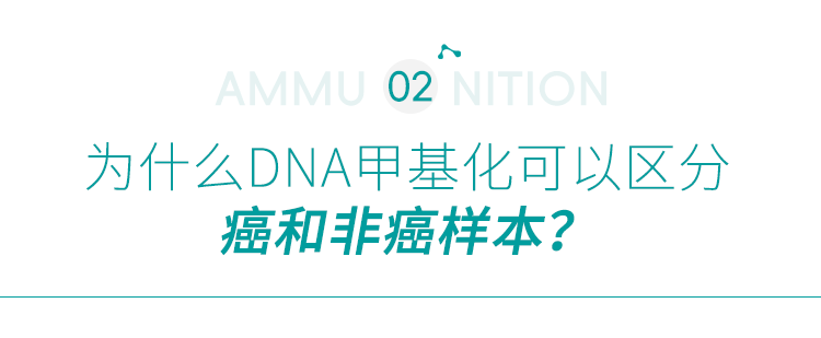 为什么DNA甲基化可以用于癌症诊断？