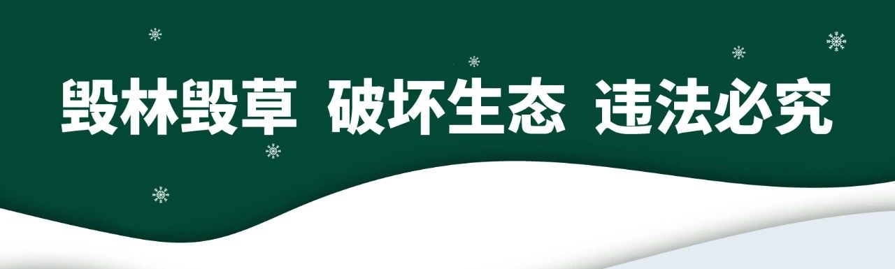 私自开垦林地草地，法院判决来了！