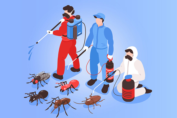 有害生物防制培训：如何预防和控制害虫的滋生？