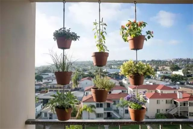 阳台成为垂直精致小花园的8种方法，拿走不谢！