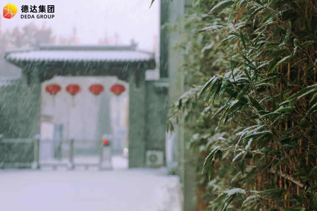 邀您共賞德達集團雪景