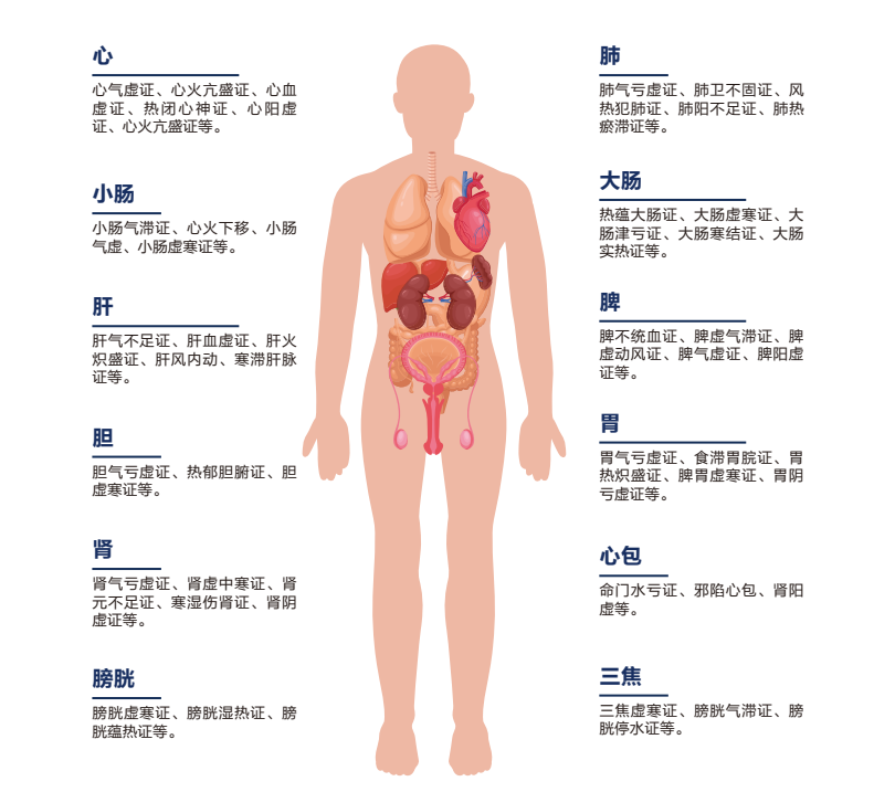 中医四诊智能诊断系统