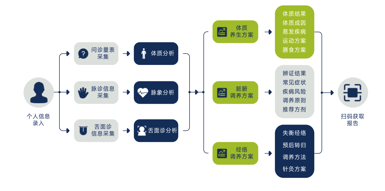 中医四诊智能诊断系统