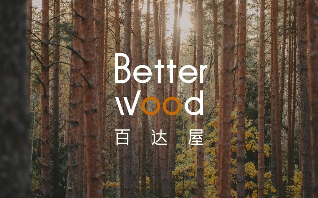 Betterwood's Immersive Membership Feast and Brand Evolution