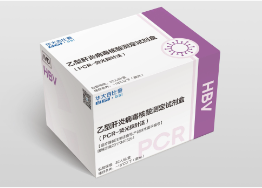 HBV核酸检测试剂盒