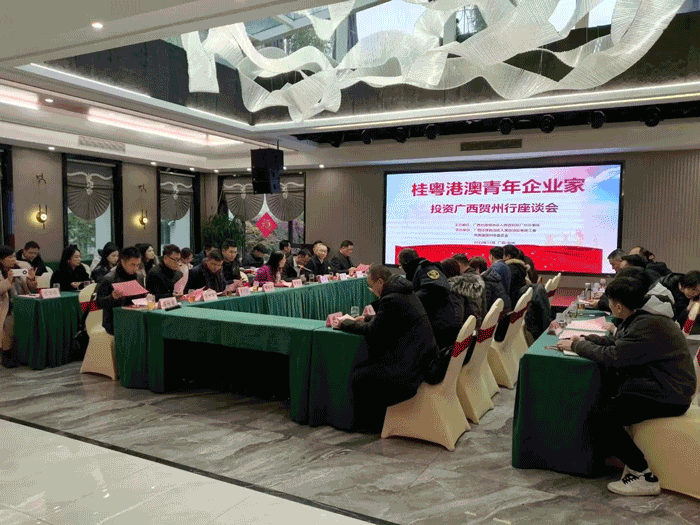 广西黄金珠宝产业园迎来桂粤港澳青年企业投资考察团 广西黄金珠宝产业园迎来桂粤港澳青年企业投资考察团