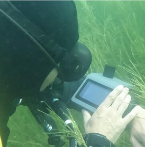 High-end underwater wireless positioning and communication system for divers