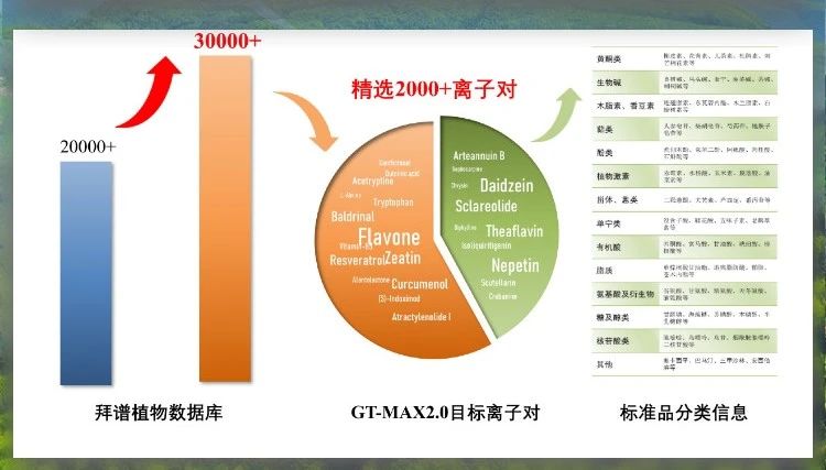 金标技术 广准兼备| 新升级植物广靶代谢组GT-MAX2.0，“更高” 、“更广”、“更准”