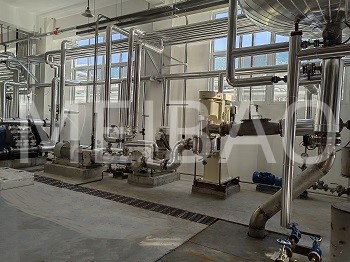 年产20万吨洗衣粉生产线调试运行