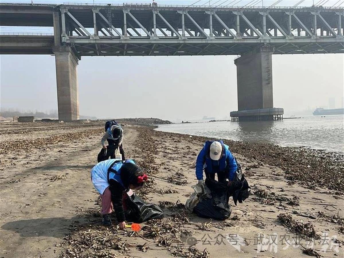 武汉开展护渔净滩美化环境行动