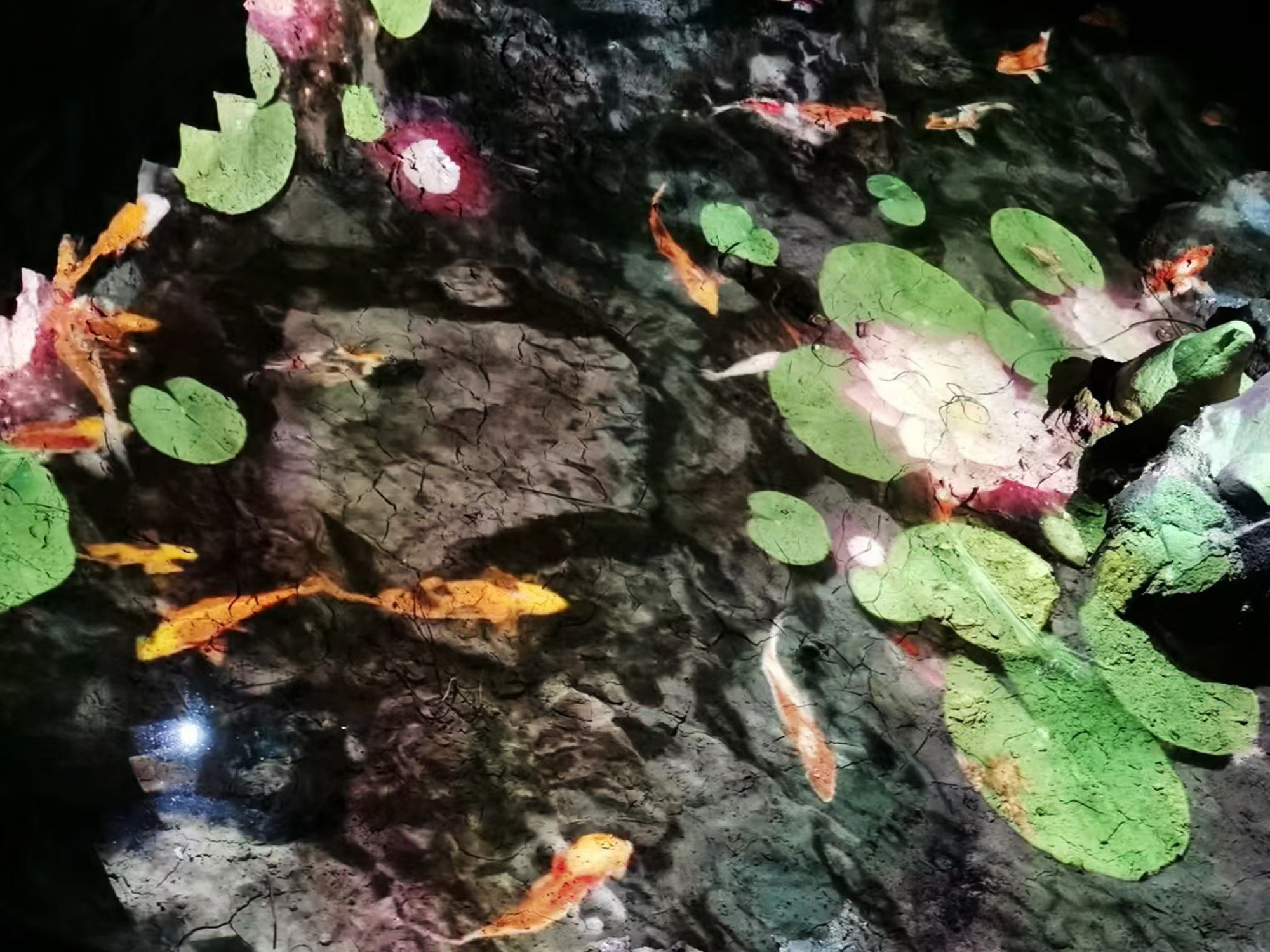 The projection of the Tianhetan dry karst cave