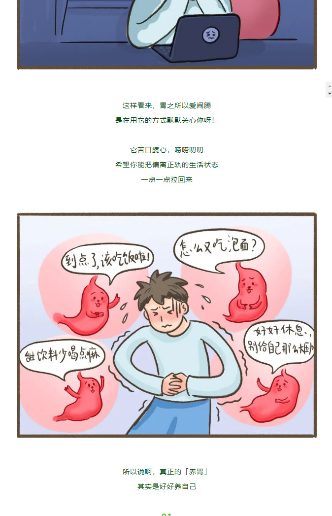 关于养胃，这些年我们都搞错了
