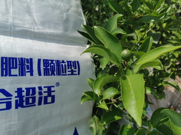 柑橘種植使用什么樣的水溶肥，讓產(chǎn)量翻番