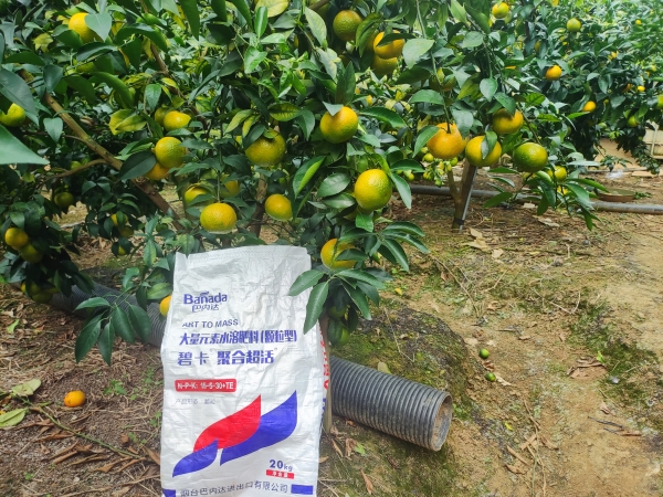 柑橘种植使用什么样的水溶肥，让产量翻番