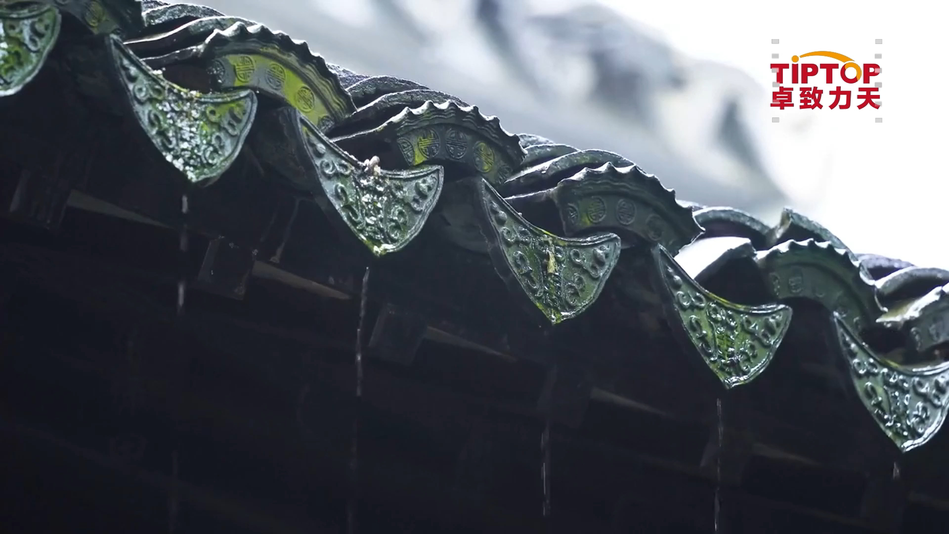 今日雨水 | 待一場春雨 迎萬物新生