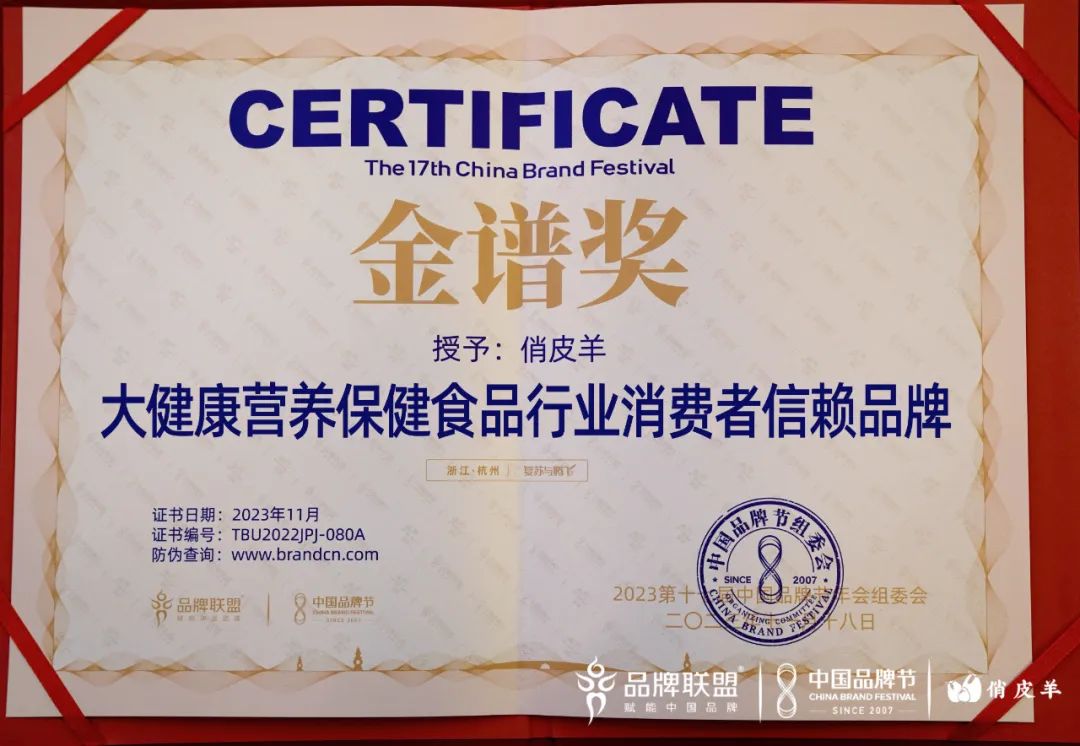 科名集团副总裁秦君锴在2023第十七届中国品牌节论坛发表主题演讲，并荣获“2023中国首席品牌官500强”奖项！
