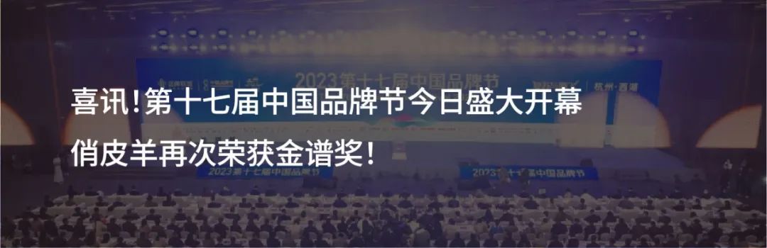 科名集团副总裁秦君锴在2023第十七届中国品牌节论坛发表主题演讲，并荣获“2023中国首席品牌官500强”奖项！