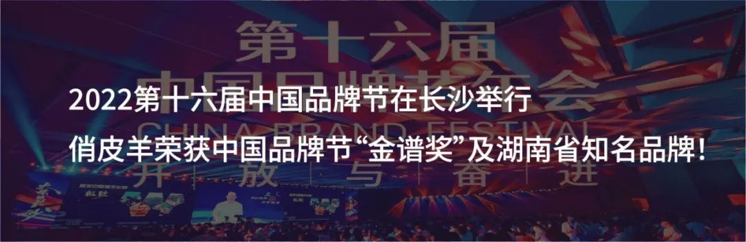 科名集团副总裁秦君锴在2023第十七届中国品牌节论坛发表主题演讲，并荣获“2023中国首席品牌官500强”奖项！