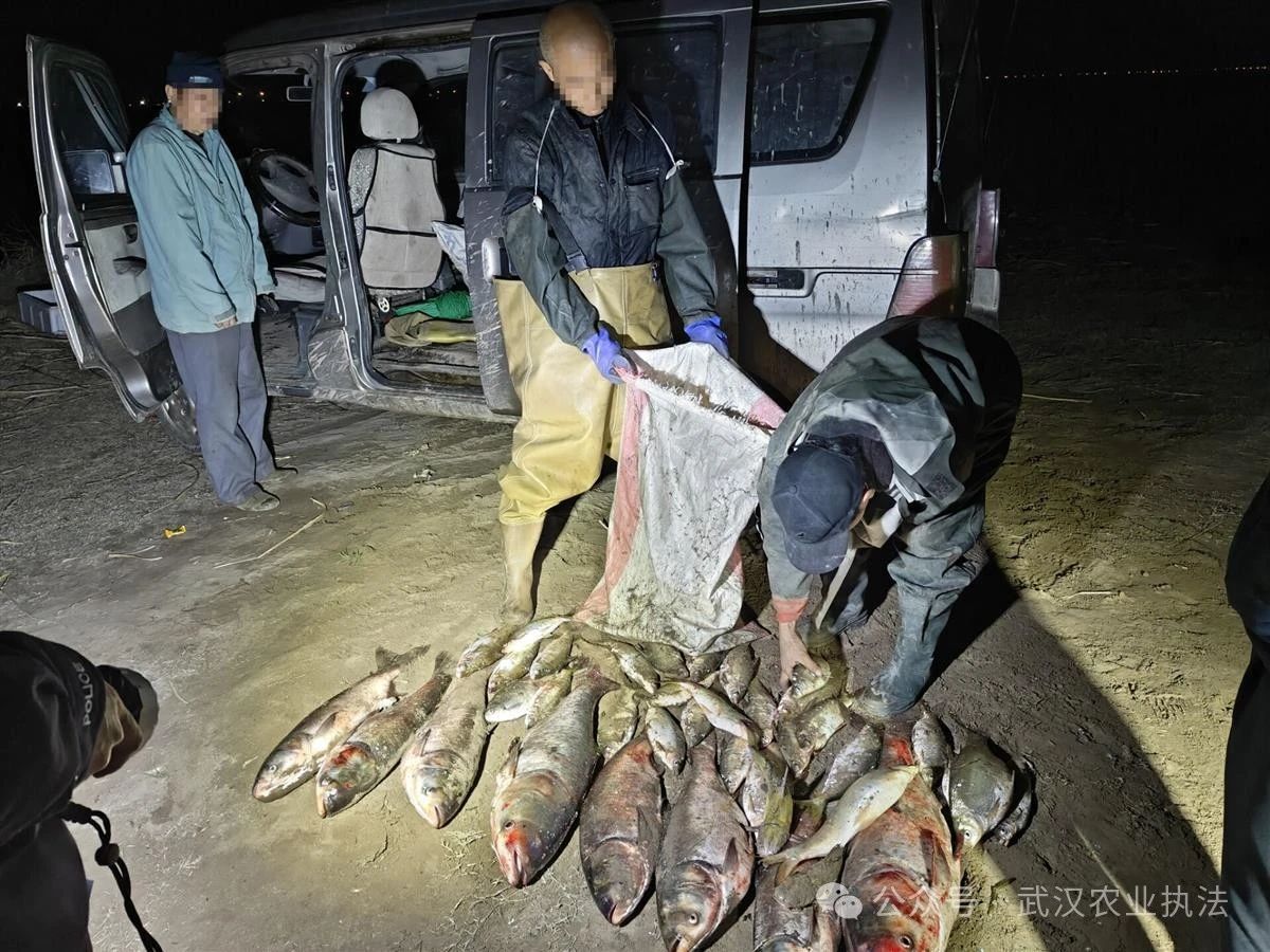 非法捕捞水产品93公斤，3男子被采取刑事强制措施