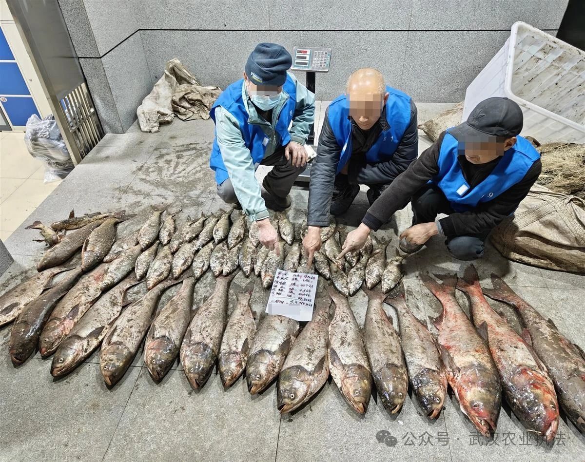 非法捕捞水产品93公斤，3男子被采取刑事强制措施