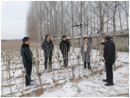 积极应对极端天气影响,为蚕桑生产保驾护航 积极应对极端天气影响,为蚕桑生产保驾护航