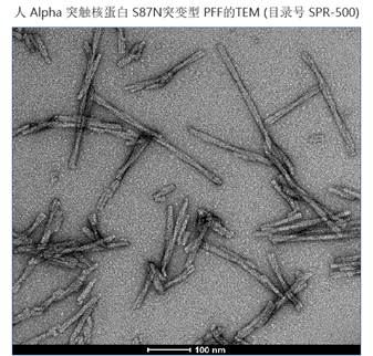StressMarq——Alpha 突触核蛋白产品推荐（3）