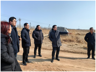 桑粮间作-农牧循环 探索盐碱地综合利用新途径 桑粮间作-农牧循环 探索盐碱地综合利用新途径