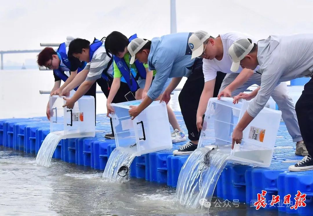 垂钓渔获“限重”15斤，武汉正面向社会开展意见征集