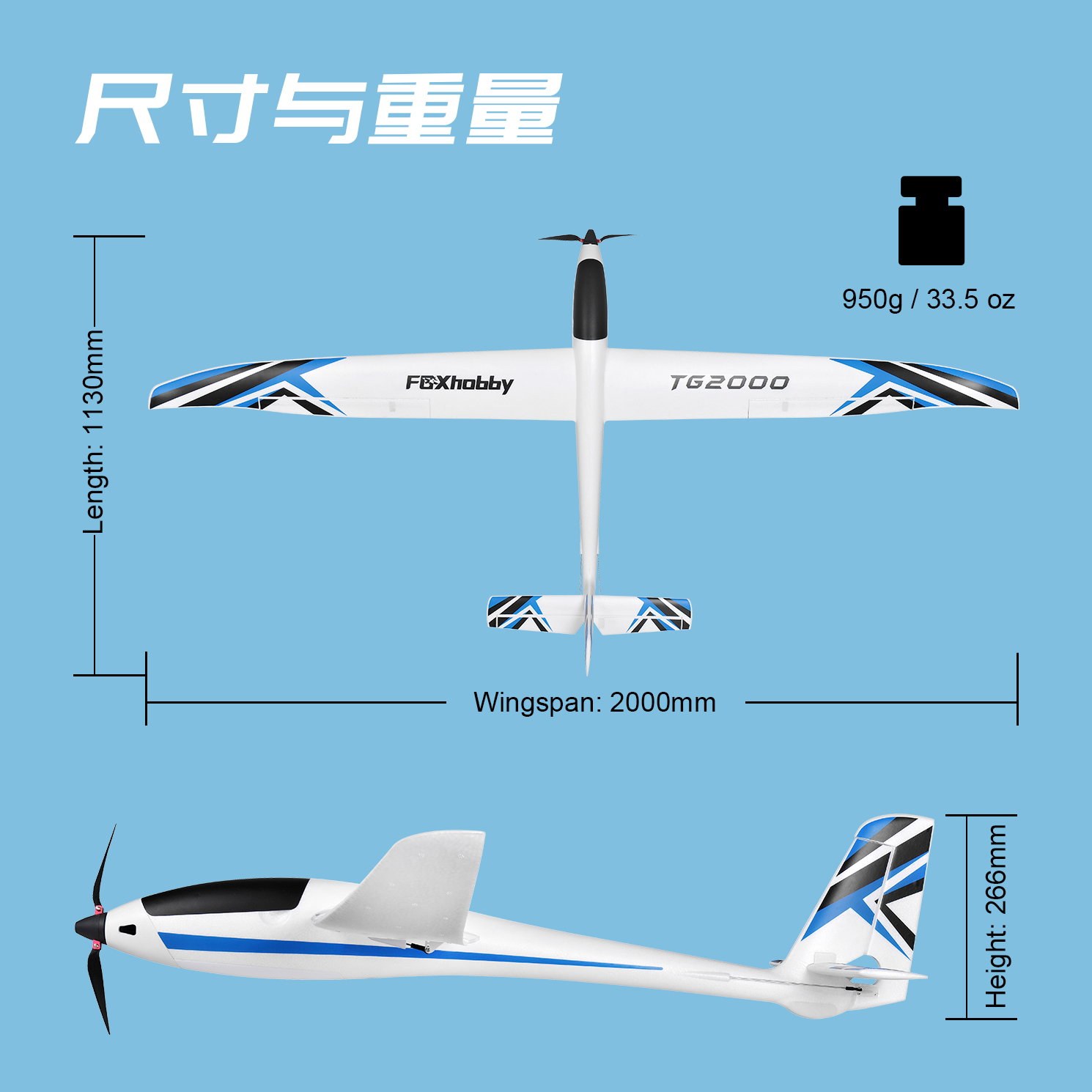 TG2000滑翔飞机