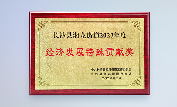 长沙县湘龙街道2023年度 经济发展特殊贡献奖