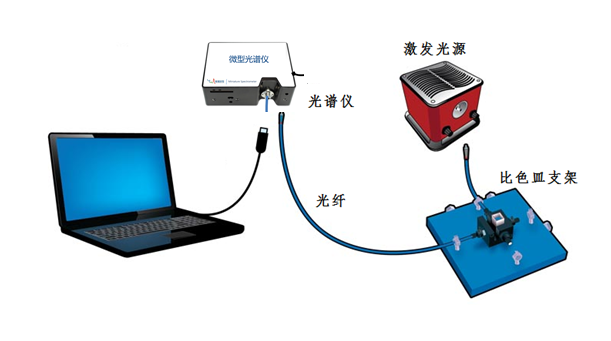 荧光吸光度测量系统