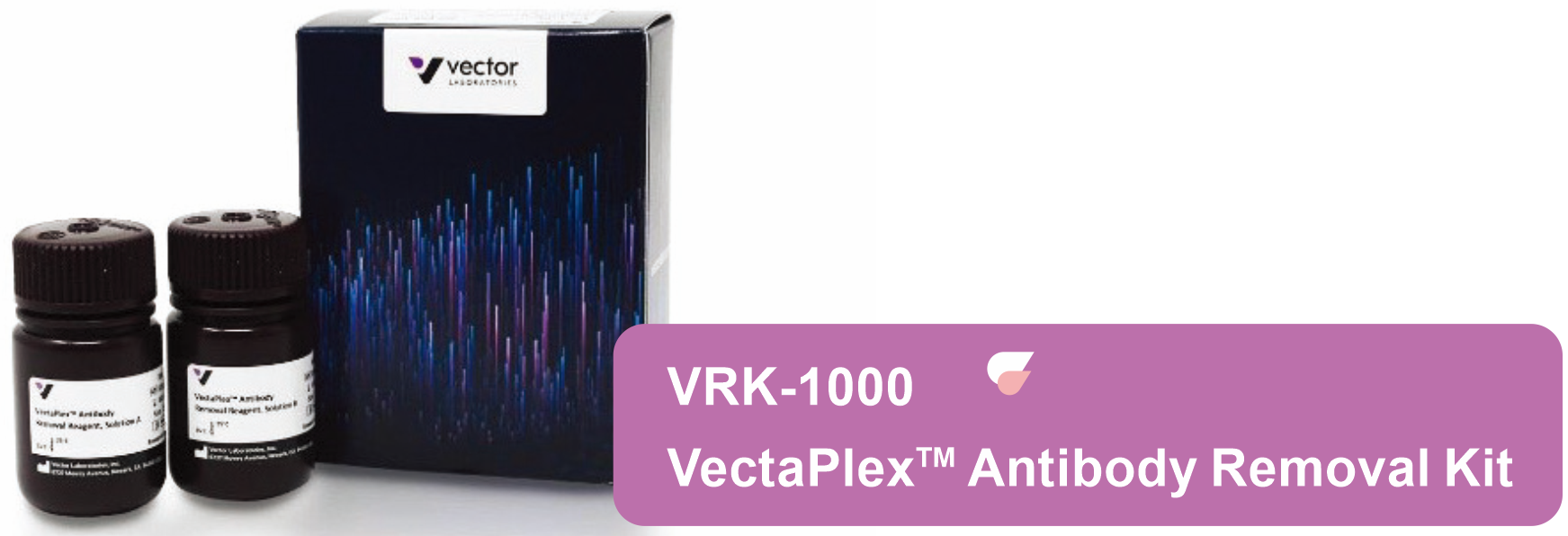 VectaPlex™ Antibody Removal Kit  ——简化您的多重免疫荧光(mIHC)染色