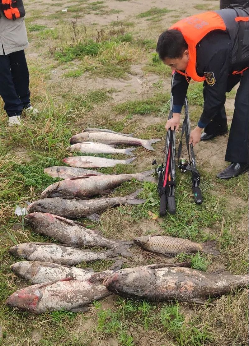 三男子为“一口鲜”非法锚鱼，被罚2.85万元并交生态修复费