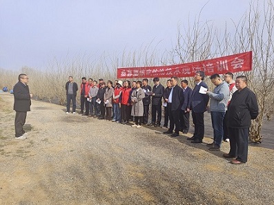 科技助力果桑产业可持续发展暨桑葚菌核病防治技术现场培训会在昌邑举办 科技助力果桑产业可持续发展暨桑葚菌核病防治技术现场培训会在昌邑举办