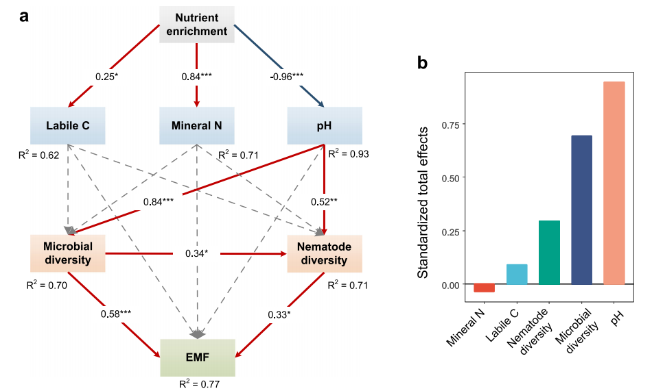 最新文献解读（IF：16.6）|养分诱导的酸化调节了土壤生物多样性-功能关系