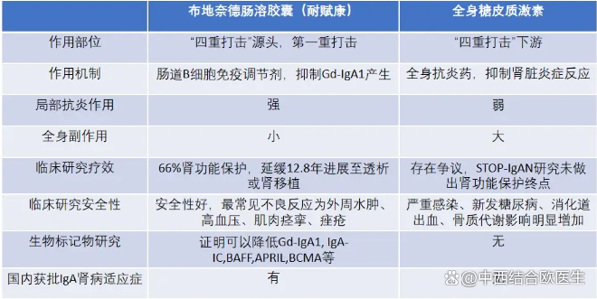 布地奈德缓释胶囊(Nefecon)在IgA肾病的应用