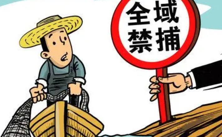 长江的鱼多了，十年禁渔还要继续吗？
