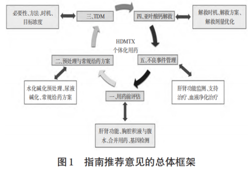 权威发布丨中国大剂量甲氨蝶呤循证用药指南——TDM临床指导“导航仪”