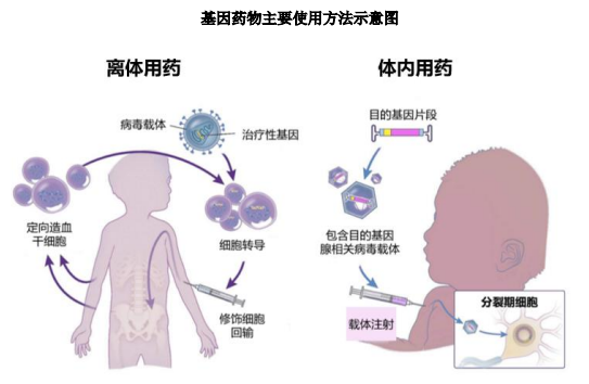 下游应用需求巨大:进一步推动基因递送行业加速发展 下游应用需求巨大:进一步推动基因递送行业加速发展