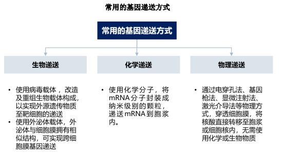 下游应用需求巨大:进一步推动基因递送行业加速发展 下游应用需求巨大:进一步推动基因递送行业加速发展