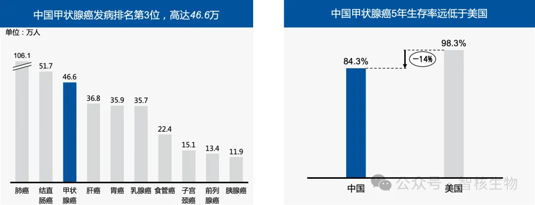 智核生物新药获批上市！填补国内分化型甲状腺癌治疗空白 | 产品上市