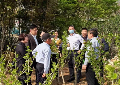 蚕桑产业经济助推新质生产力加速形成 蚕桑产业经济助推新质生产力加速形成