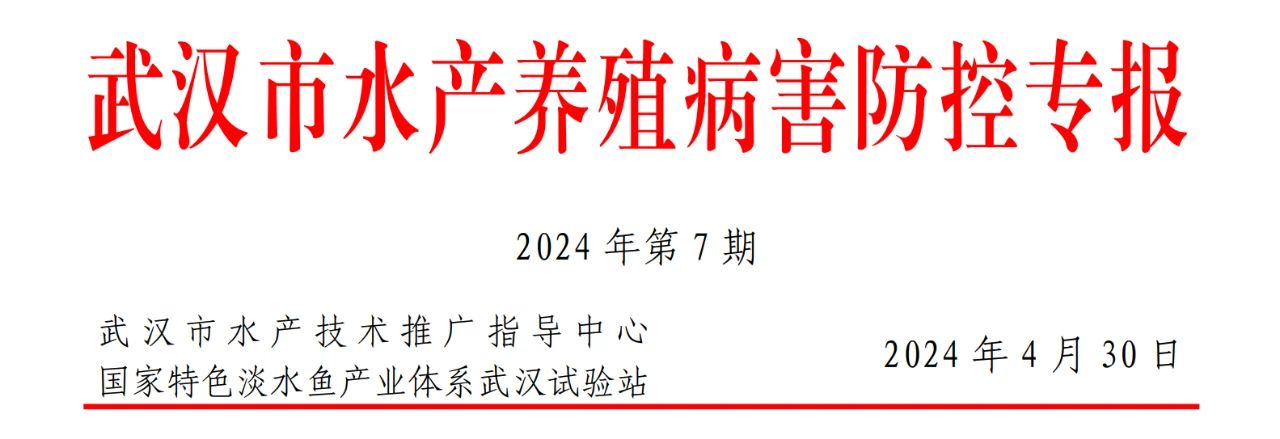 武汉市2024年5月水产养殖病害预测预报