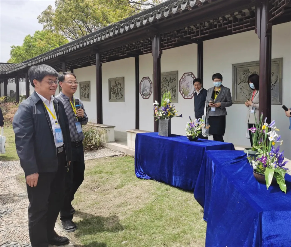 鳶尾花主題插花來了！為全國鳶尾盛會增添靚麗風(fēng)景