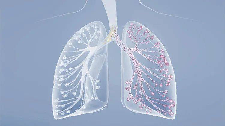 推动氧气呼吸机系统解析及创新的”给氧支持”