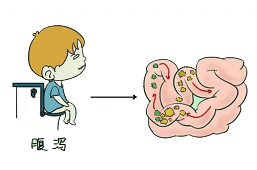 营养课堂|如何应对肿瘤治疗期间出现的腹泻?